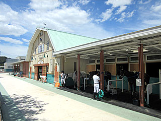 乗馬センター@小倉競馬場