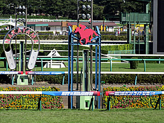 ゴール板(セントライト記念)