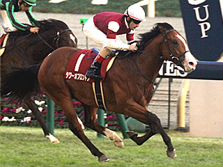 タワーオブロンドン(京王杯2歳ステークス)