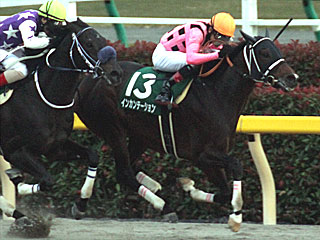 インカンテーション(武蔵野ステークス)