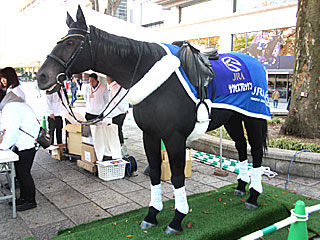 サクセスブロッケンロボ