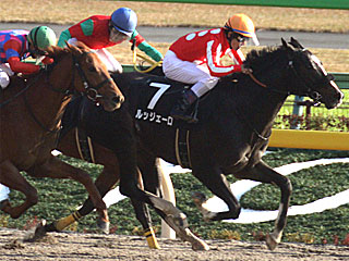 ルッジェーロ(カトレア賞)