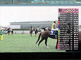 阪神ジュベナイルフィリーズ出馬表