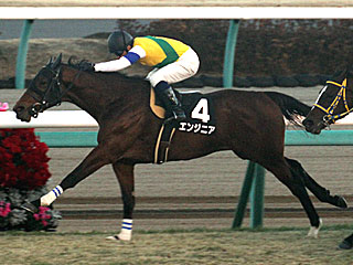 エンジニア(ベストウィッシュカップ)