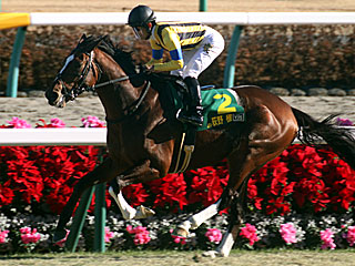 フリージングレイン(ヤングジョッキーズシリーズファイナルラウンド中山第1戦)