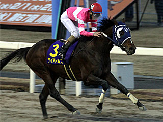 ディアドムス(報知オールスターカップ)