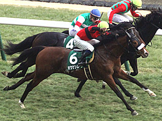 オウケンムーン(共同通信杯)