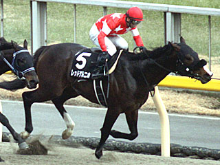 レッドゲルニカ(バレンタインステークス)