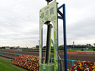 中山競馬場 | 芝コース開放