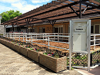 乗馬の展示コーナー