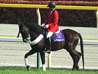 レヴォルトソー