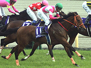 ケイアイノーテック(NHKマイルカップ)