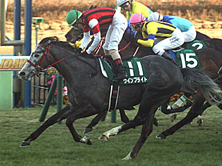 ウインブライト(中山金杯)