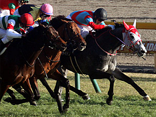 エントシャイデン(節分ステークス)