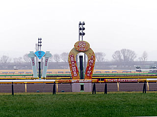 東京競馬場
