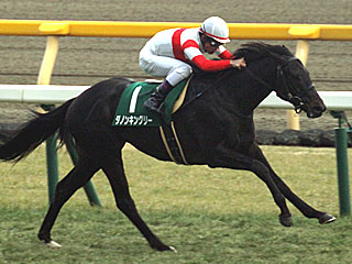 ダノンキングリー(共同通信杯)