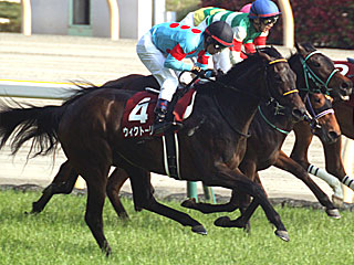 ウィクトーリア(フローラステークス)