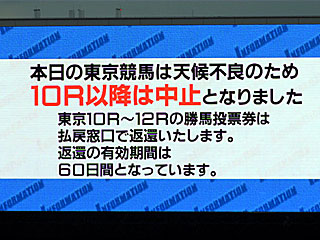 降雹 | 東京競馬10R以降中止