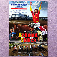 レーシングプログラム