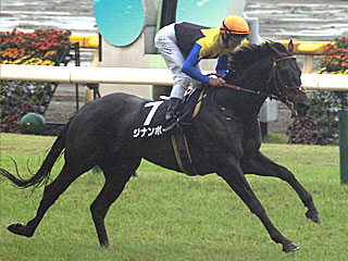 ジナンボー(ジューンステークス)