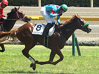 トライフォーリアル(2歳新馬)
