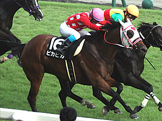 ピカピカ(雷光特別)