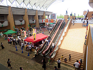 テラスプラザ@新潟競馬場