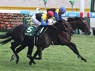 ユーキャンスマイル(新潟記念)