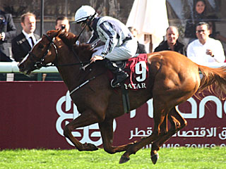 アルビグナ Albigna(マルセルブーサック賞)