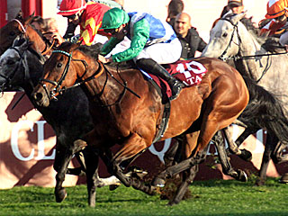 ワンマスター One Master(フォレ賞)