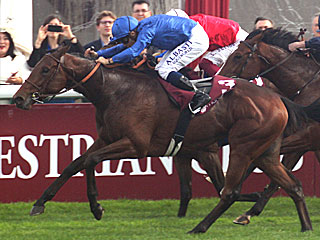 ヴィクタールドラム Victor Ludorum(ジャンリュックラガルデール賞)