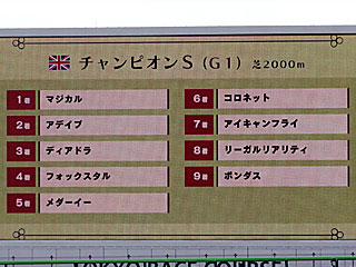 チャンピオンズステークス