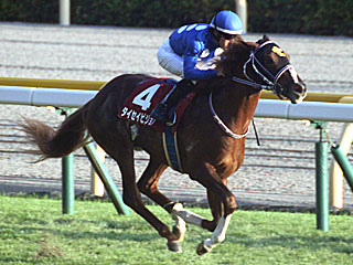 タイセイビジョン(京王杯2歳ステークス)