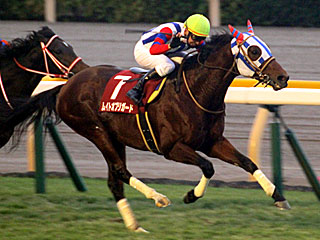 ムイトオブリガード(アルゼンチン共和国杯)