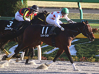 ミッキーワイルド(霜月ステークス)