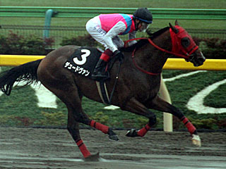 デュードヴァン(カトレア賞)