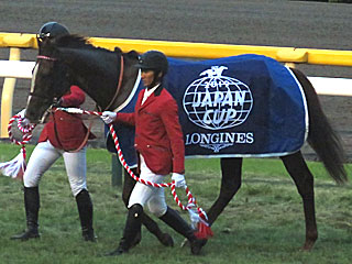 スワーヴリチャード(ジャパンカップ)