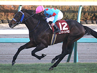 モンドインテロ(ステイヤーズステークス)