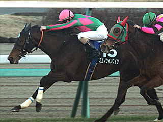 ミエノウインウイン(ベストウィッシュカップ)