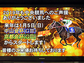 2019年も中央競馬へのご声援ありがとうございました