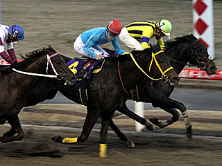 オールブラッシュ(報知オールスターカップ)