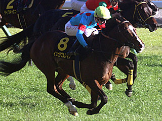 インビジブルレイズ(白富士ステークス)