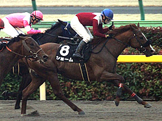 ショーム(バレンタインステークス)