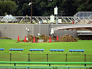 馬場内屋外モニター@東京競馬場