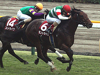 モントライゼ(京王杯2歳ステークス)