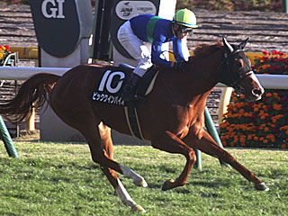 ビッククインバイオ(奥多摩ステークス)