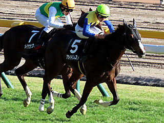 アカイトリノムスメ(赤松賞)