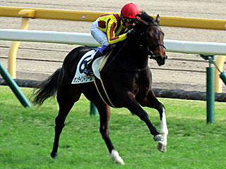 オンラインドリーム(2歳新馬)