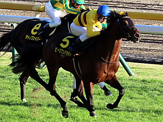 ピースワンパラディ(キャピタルステークス)