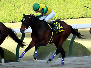 オーヴェルニュ(ベテルギウスステークス)